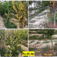 آبیاری قطره ای-بارانی هوشمند فضای سبز محوطه و منزل|خدمات باغبانی و درختکاری|کرج, فاز ۱ مهرشهر|دیوار
