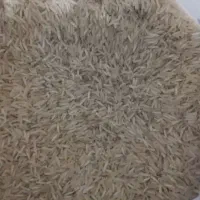 برنج درجه یک شمیم