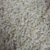 برنج کامفیروزی|خوردنی و آشامیدنی|شیراز, درکی|دیوار