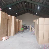 نیروی خانم جوان