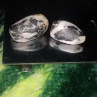 سنگ  سپتارین|کلکسیون اشیاء عتیقه|نوبران, |دیوار