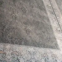 ۲ عدد فرش ۱۲۰۰شانه ۹متری دونه ای ۲۸میلیون.