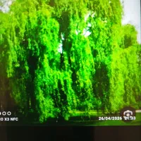 باغ شهر ساوالان