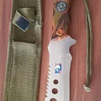 امریکائی اصلی قطب نما دار
