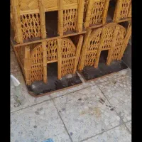 مصیف عربی|صنایع دستی و سایر لوازم تزئینی|آبادان, |دیوار