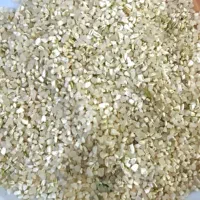 فروش برنج درجه یک کامفیروز|خوردنی و آشامیدنی|بندر گناوه, |دیوار