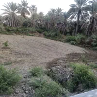 زمین زراعی روستای دهوسطی