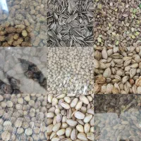 آجیل و خشکبار