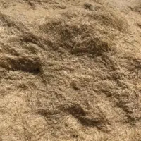 کاه گندم نرم وتمیز