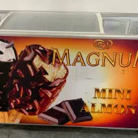 یخچال بستنی