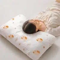 روبالشتی سفری ضد باکتری بسته( ۱۰ عددی)