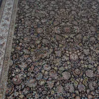 فرش|فرش|شاندیز, |دیوار