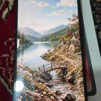note 12 pro
