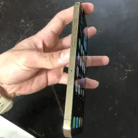 iphone 12 pro max 256 GB|موبایل|بندرعباس, |دیوار