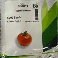 فروش وتامین بذر فلفل دلمه ای وغیره|خدمات باغبانی و درختکاری|شاهینشهر, حافظ جنوبی|دیوار