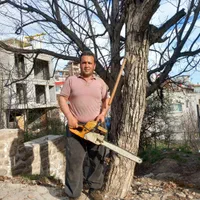 خرید چوب های باغی رو خریدارم