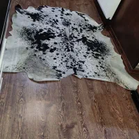 پوست گاو|فرش|تهران, سلسبیل جنوبی|دیوار