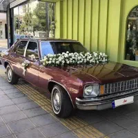 زیبا ترین خودرو اجاره شهرستان سبزوار