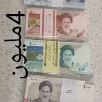 پول نو وگل اآرایی وکلگسیونی