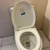 فروش توالت فرنگی آدونیس در حد نو نصف قیمت|لوازم سرویس بهداشتی|هشتگرد, فاز ۷ مهستان|دیوار