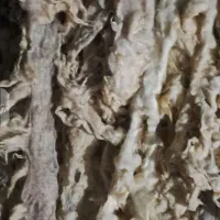 پشم گوسفند|رختخواب، بالش، پتو|قم, انسجام|دیوار