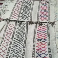 لباس اسب جول