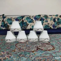 فنجان چینی مقصود