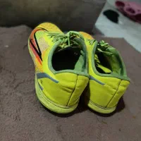 کفش سالنی (نایک)|کیف، کفش، کمربند|شوشتر, |دیوار