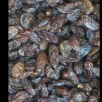 انواع کشمش و مویز سایه خشک و کشمش افتابی|خوردنی و آشامیدنی|کرمانشاه, |دیوار