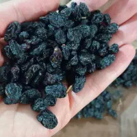 کشمش بیدانه سیاه خاصیت دارویی