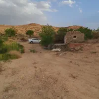 فروش باغ پسته|فروش دفتر صنعتی، کشاورزی، تجاری|تهران, جوادیه|دیوار