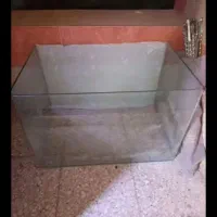 آکواریوم شیشه خم