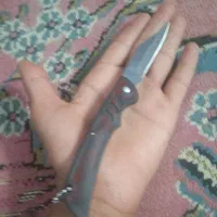 شادگان