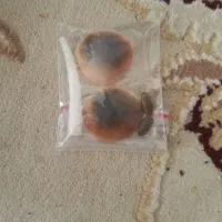 مهره|جواهرات|شیراز, شاه قلی بیگی|دیوار