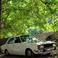 پیکان ۸۰ لازرورقی