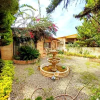 ویلا-باغ-فلت-حیاط-محوطه-سازی-مبله-سندار-ویو-دلباز