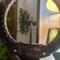 رینگ لایت|لامپ و چراغ|رشت, امین الضرب|دیوار