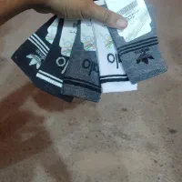 تولید و پخش انواع جوراب