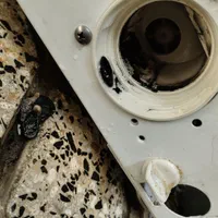 تعمیرات و خرده کاری منزل.باغ|خدمات پیشه و مهارت|ارومیه, |دیوار