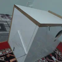 لانه عروس هلندی