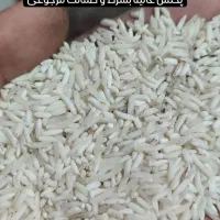 ۳۰۰کیلو برنج اقتصادی سوزنی معطر