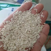 برنج عنبربو در جه یک منطقه خوزستان|عمدهفروشی|کرخه, |دیوار