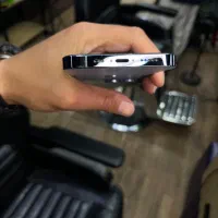 13pro 256ch B82|موبایل|فردیس, نسترن شرقی|دیوار