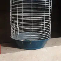 قفس پرنده