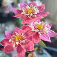 flora.bouquetes|کنسول، بازی ویدئویی و آنلاین|قزوین, |دیوار