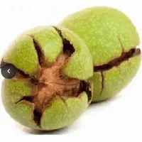 گردوتارزه