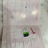 توله سگ پامر اشپیتز نر|سگ|اسدآباد, |دیوار