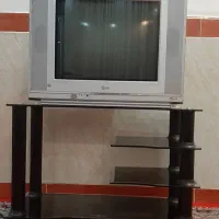تلوزیون