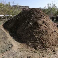 کود پوسیده دامی گوسفند