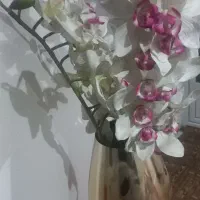 گل و گلدان در حد